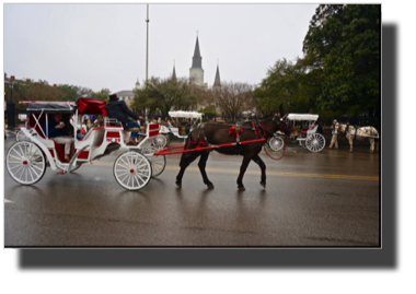 In front of Jackson Square DSC02878.jpeg