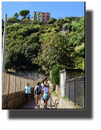 Corniglia DSC01426.jpg