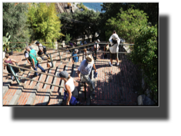 Corniglia DSC01428.jpg