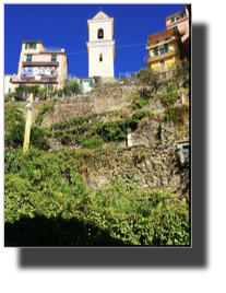 Manarola DSC01460.jpg