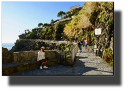 Manarola DSC01483.jpg