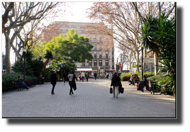 Les Rambles
DSC03604.jpg