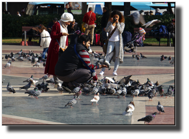 Plaça de Catalunya
DSC04286.jpg