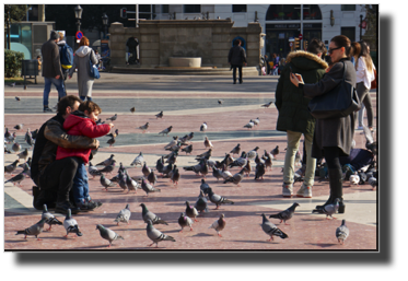 Plaça de Catalunya
DSC04287.jpg