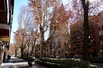 Carrera de Virgen & Basilica de Nuesta Señora de las Angustias
DSC04245.jpg