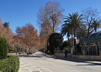 Along Paseo de la Bomba
DSC04254.jpg